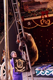 Первые зрители оценили "Новогоднюю тайну пирата" в Рязанском цирке