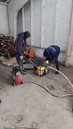 Рязанский приют съедет с улицы проезд Яблочкова на окраину города