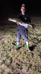 Семикилограммового судака поймали под Касимовом