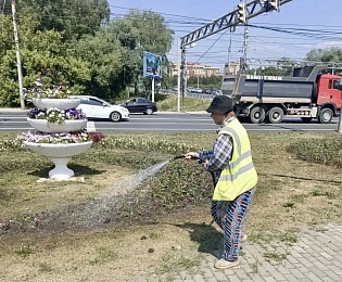 Вокзальная, Завражнова и Лыбедский бульвар: в Рязани появятся новые «цветочные точки»