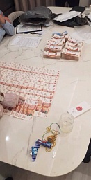 Полиция рассказала подробности дела о мошенничестве с закупкой коммунальной техники в Рязани 