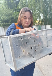 Спасатели передали хозяевам кошку из дома, пострадавшего от БПЛА