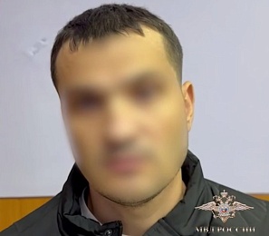 Полиция поймала обворовавших рязанские дома на 15 млн рублей иностранцев 