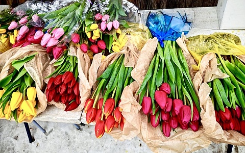 В преддверии 8 Марта в Рязани проверили цветочные ярмарки