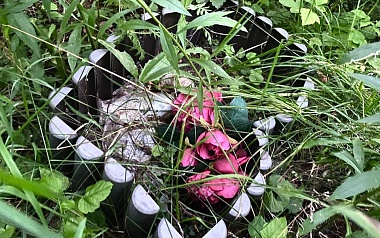 Кладбища домашних животных: где в Рязани хоронят кошек и собак