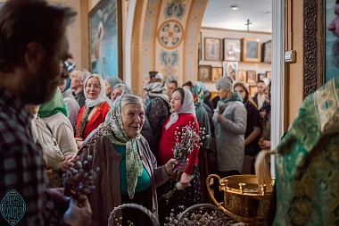 Вербное воскресенье 2025: фоторепортаж из Вознесенского храма