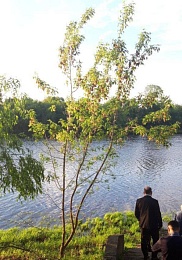 Малков остался недоволен качеством реконструкции санатория «Сосновый бор» под Рязанью 