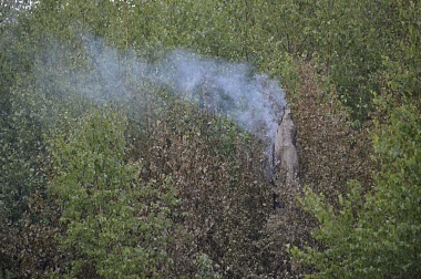 Дым без огня. Как выглядит лесной пожар под Рязанью спустя неделю 