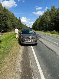 Под Касимовым сбили лося