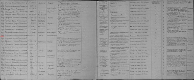 В Рязанской области ищут родственников красноармейца Ольги Ларионовой