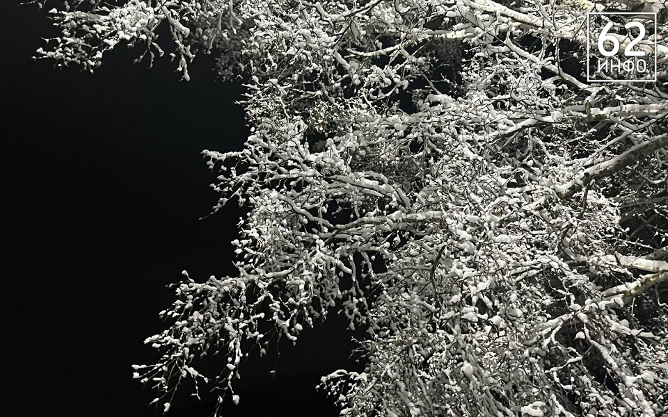 МЧС: 3 района Рязанской области ждут снегопада - 62ИНФО