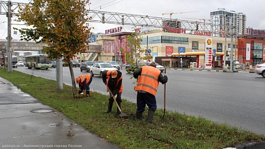 На Московском шоссе в Рязани высадили 70 лип
