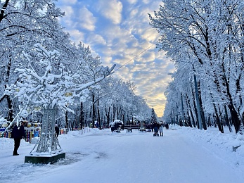 Снег и гирлянды превратили Рязань в новогоднюю открытку