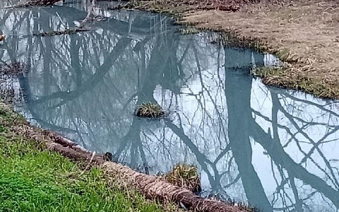В Рыбном посинела речка Дубянка