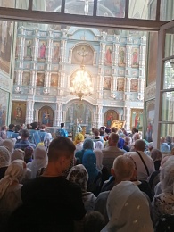 В Александро-Невском районе прошёл крестный ход в честь чудотворной Зимаровской иконы Богородицы