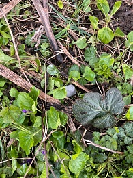 Рязанку поймали с крупной партией наркотиков на улице Керамзавода