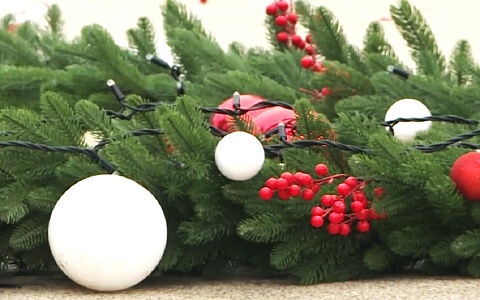 На Рязанской ВДНХ установят полтысячи елок