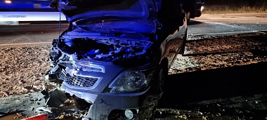 Двое взрослых и двое детей пострадали в ДТП в Старожиловском районе 