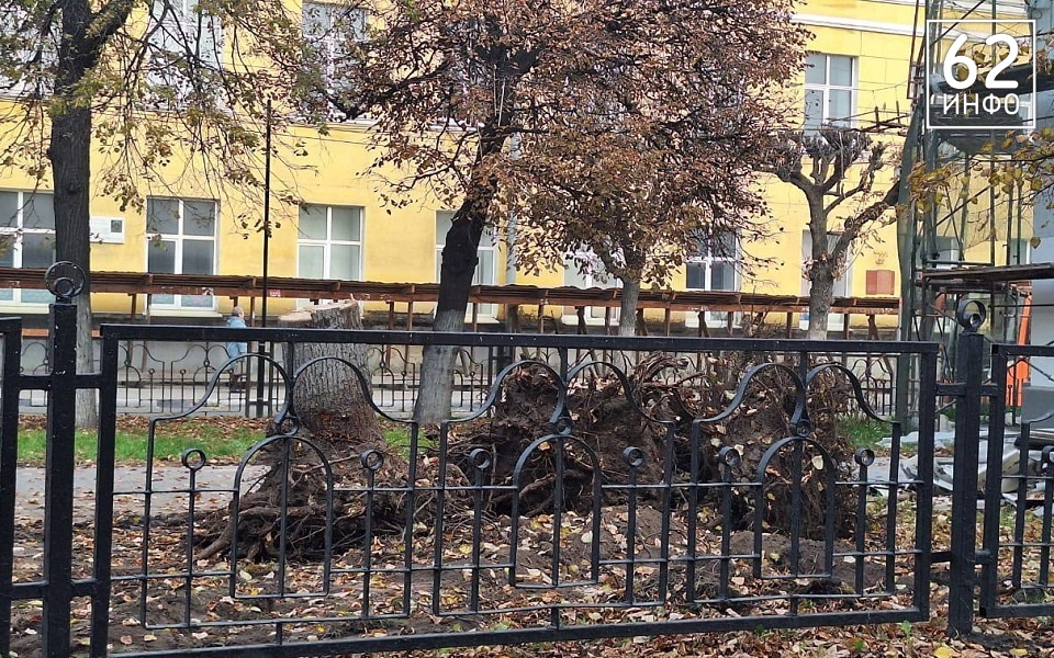 В Рязани корчуют деревья в сквере на Есенина - 62ИНФО В Рязани корчуют деревья в сквере на Есенина - 62ИНФО