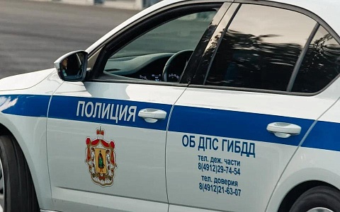 Госавтоинспекция Рязанской области будет следить за безопасностью на дорогах в выходные  
