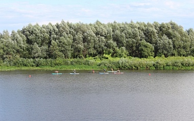 "Лукоморье" на Оке: в Рязани впервые определили чемпионов по сапбордингу