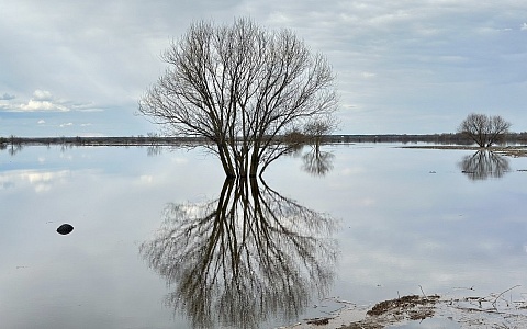 Потеряла почти метр: вода в Оке у Рязани падает все быстрей