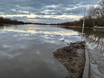 Ореховое озеро под Рязанью вышло из берегов из-за паводка