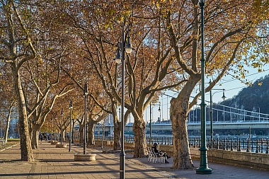 Рязанская епархия показала фотографии митрополита Марка - 62ИНФО Рязанская епархия показала фотографии митрополита Марка