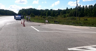 Ряжский пенсионер скончался в аварии с жителем Москвы