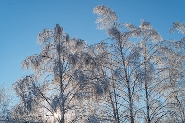 Рязанская епархия показала фотографии митрополита Марка - 62ИНФО Рязанская епархия показала фотографии митрополита Марка