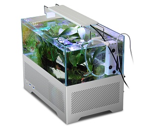 В Китае разработали компьютер со встроенным аквариумом