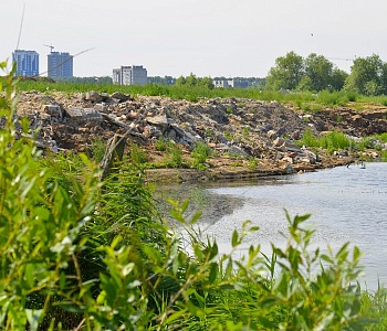 Борьба за Дикую Утку