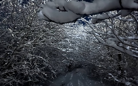 Ночной буран и -18°С: в Рязанской области 17 февраля продолжит бушевать ненастье
