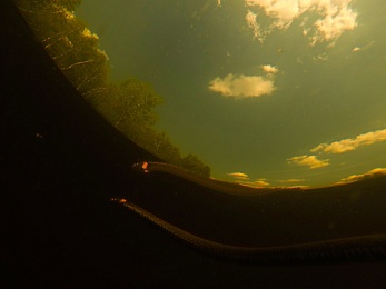 Встань и греби. Первопроходец сапсёрфинга в Рязани — о путешествиях, приключениях и красоте родной природы