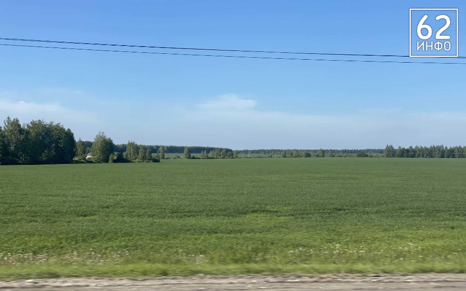 Рязанское юрлицо оштрафовали на 100 тысяч рублей за сорняки - 62ИНФО