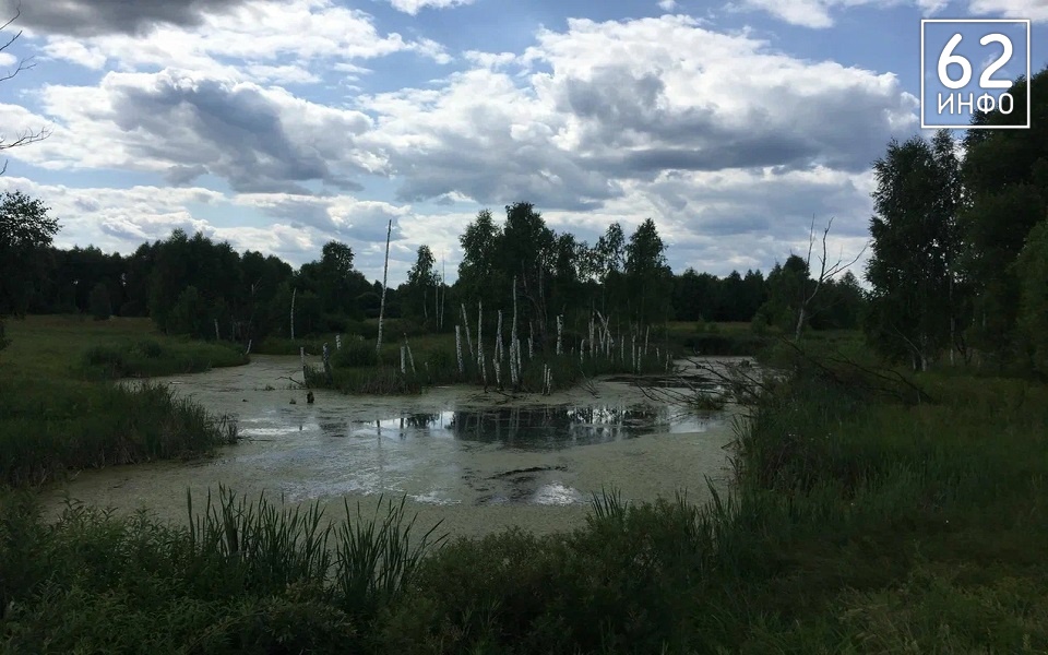 На Рязанщине 29 октября сохранится тепло до +11°С и дождь - 62ИНФО