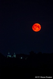 Рязанцы делятся фотографиями «клубничной» луны