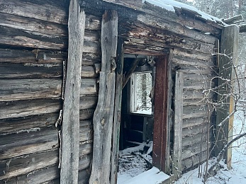 В рязанском лесу сфотографировали заброшки и лестницу в никуда - 62ИНФО В рязанском лесу сфотографировали заброшки и лестницу в никуда