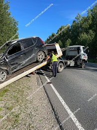 В Клепиковском районе автомобиль сбил лося и влетел в дерево 