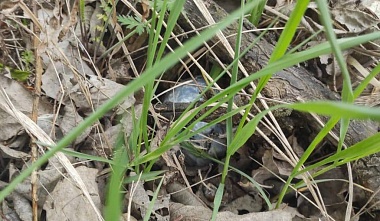 В Касимове задержан наркодилер с крупной партией запрещенных веществ