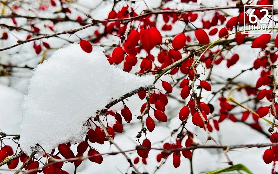 В ночь на 6 ноября на Рязанщине ждут -6°С - 62ИНФО