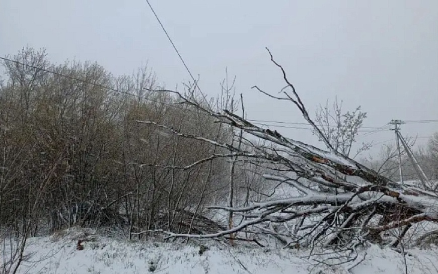Ненастье бушует: МЧС напомнило рязанцам 4 главных правила в непогоду