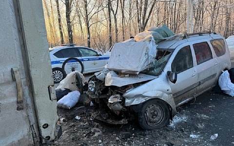 В ДТП на трассе М-5 под Рязанью пострадали 2 человека