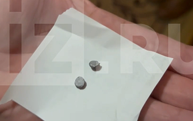 При стрельбе в Рыбновском районе пострадал очевидец 