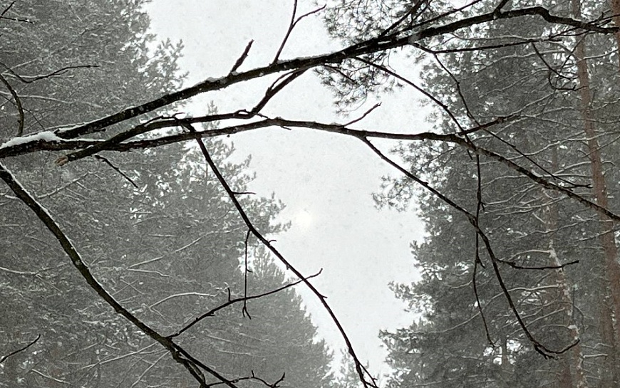 В Рязанской области погода застыла