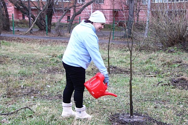 В Новопавловской роще высадили десятки новых деревьев