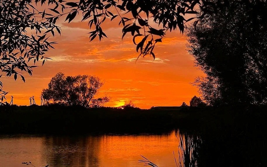 В Рязанской области последний день марта подарит тепло до +18°С