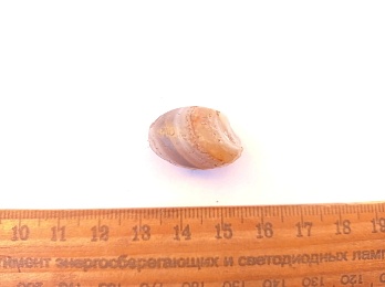 Археологи на раскопках в Старой Рязани нашли загадочный предмет