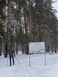 Зимние развлечения: чем заняться в Рязани в снежном январе