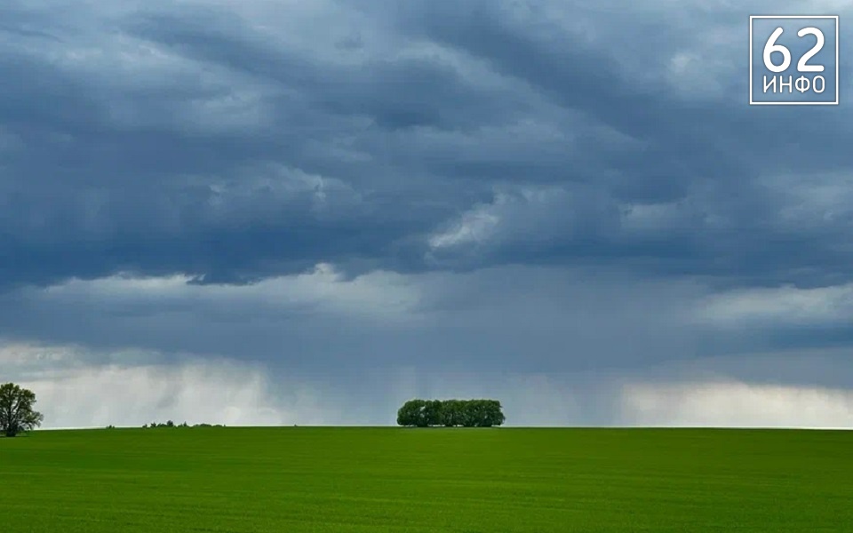 МЧС: в Рязанской области продолжатся туманы и грозовые шквалы - 62ИНФО